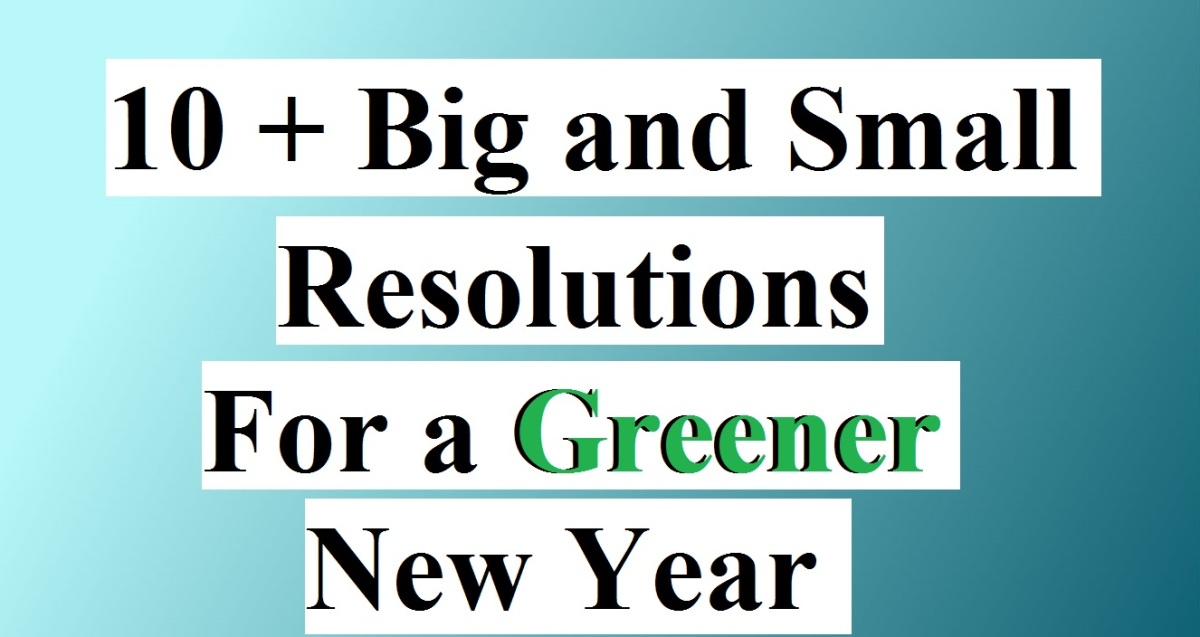 10+ Green New Years Resolutions